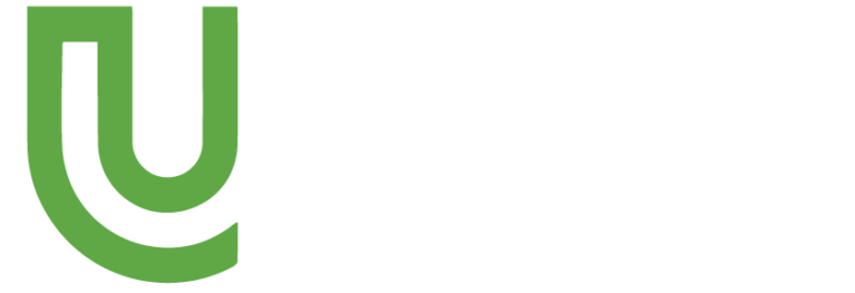 LINK DEFINITION URBAN intelligence overview